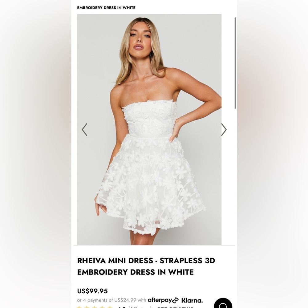 Showpo Rheiva Mini Dress